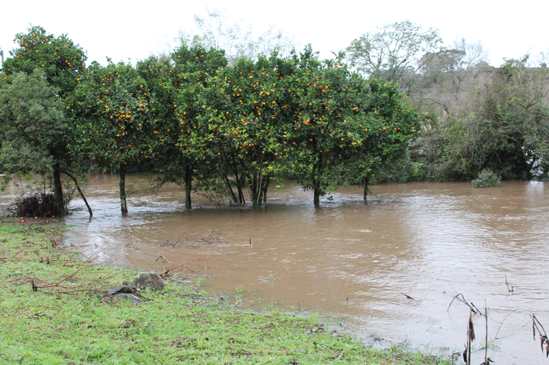 enchente rio sao sepe (40)