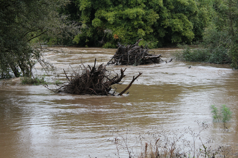 enchente rio sao sepe (42)
