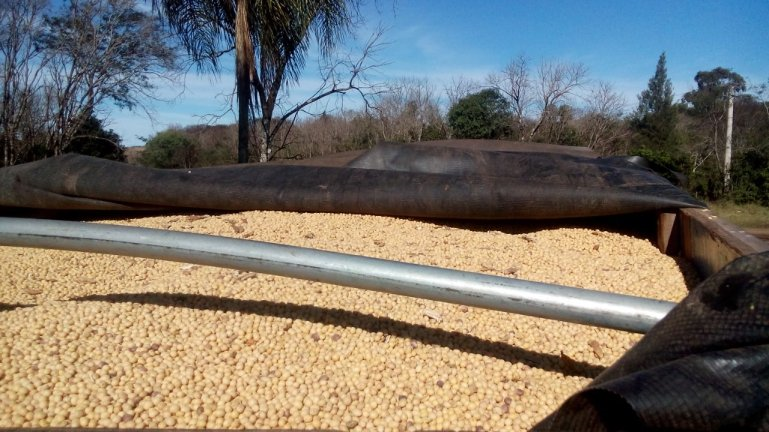 Foto: reprodução/Brigada Militar