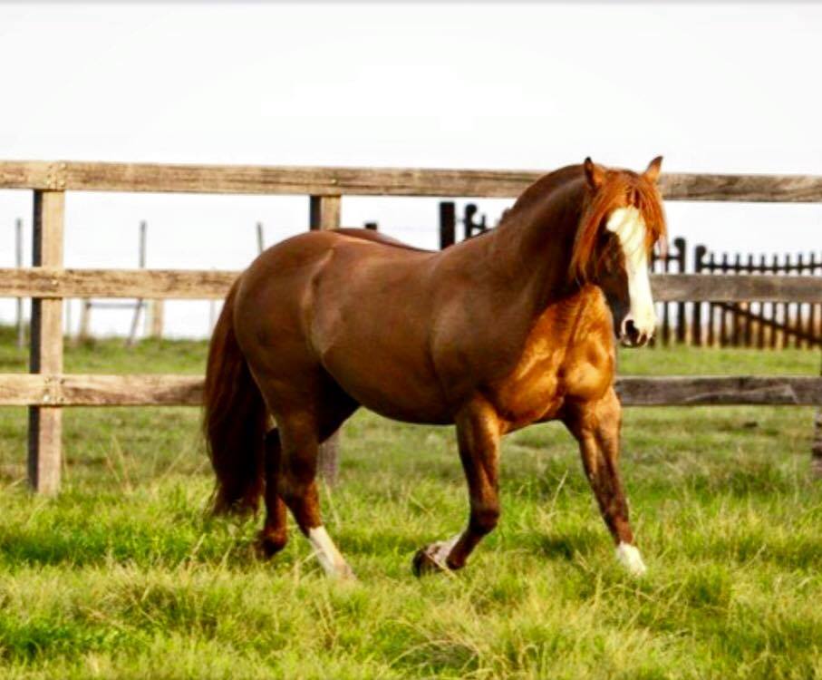 14088627_1172994546056513_4321210287086952374_n