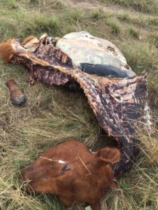 9ba2fed8-0247-458d-a9b3-4e2028e45e1a