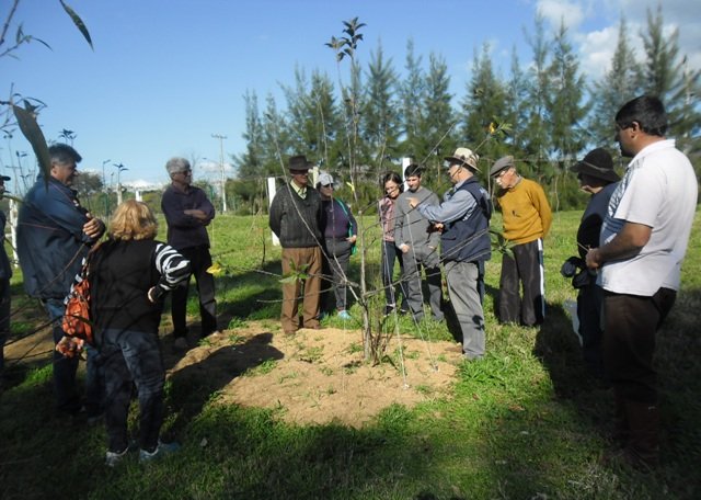 Fotos: divulgação/Emater