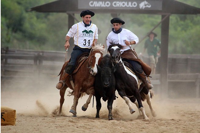 Foto: Everton Souza Marita/ABCCC/divulgação