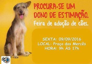 14291902_1059644597451716_2793015211108391089_n