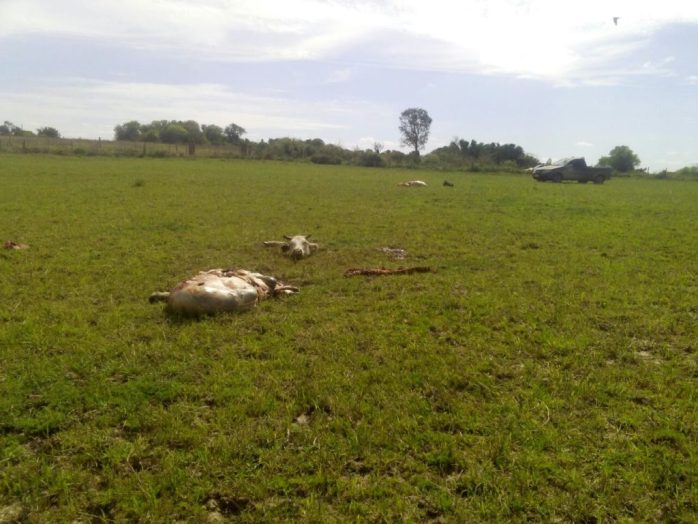 4910c97d-d6e2-4923-83dd-95c2668b61b2