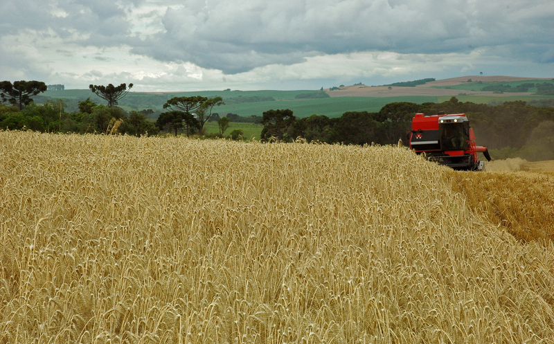 Foto: divulgação/Kátia Marcon