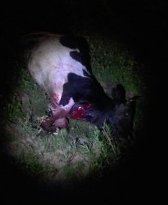 756b89c2-97ab-4768-a076-b30d57634d16