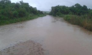 14686487_1147324192028609_242599961_n