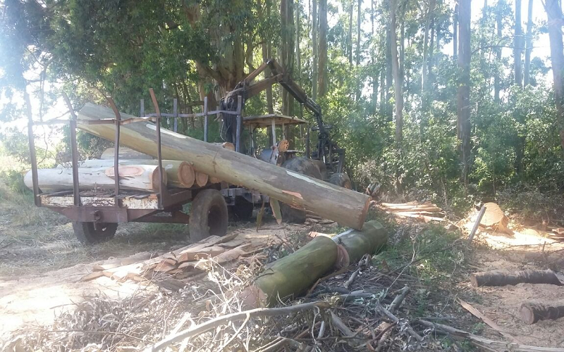 Foto: divulgação/PRF