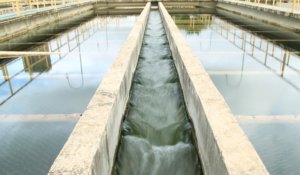 Foto: Diego Gurgel/Secom