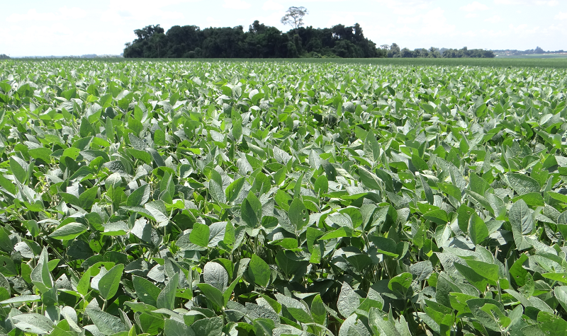 Foto: divulgação/Emater