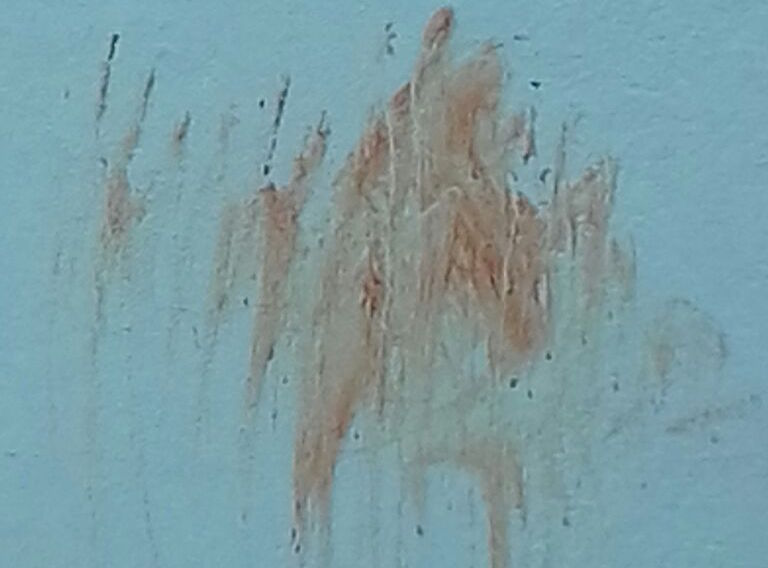 2e7e5a7b-2dcd-45a6-a35d-933a80a0f189-2