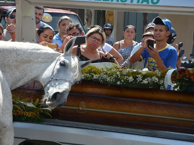 Cavalo comove família de vaqueiro morto ao ‘se despedir’ do dono