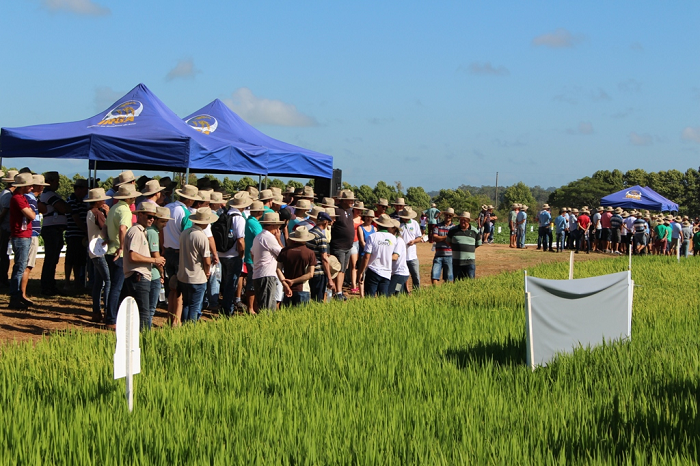 Dia de Campo reúne cerca de mil produtores em Restinga Sêca