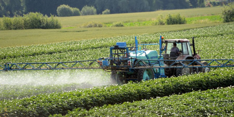 Liminar garante comercialização de herbicidas no RS