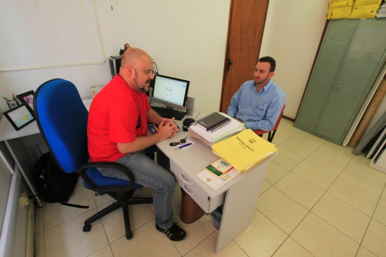 Empresa abre 20 vagas para colheita da oliva em São Sepé