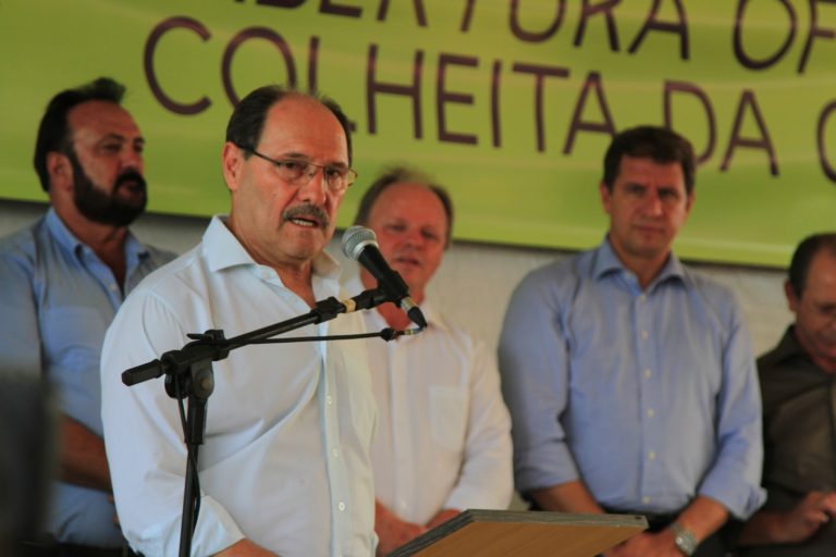 Mercado em crescimento: São Sepé sedia evento e mostra potencial para produção de azeitonas