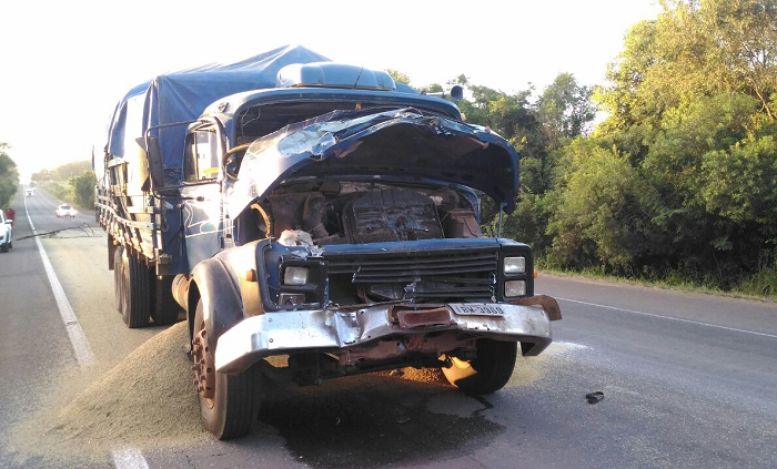 Motorista sem habilitação colide caminhão na BR-392, em São Sepé