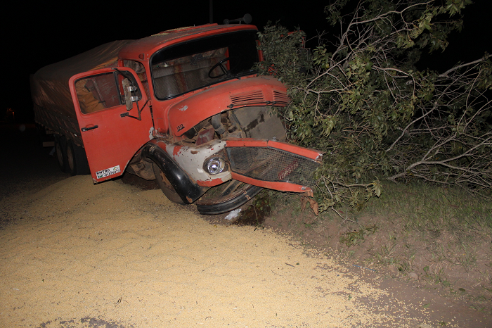 Caminhão carregado com soja colide em árvore em São Sepé