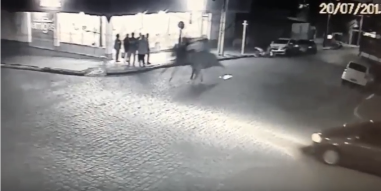 VÍDEO: homens fazem “carreira de cavalos” no centro de São Sepé e provocam acidente