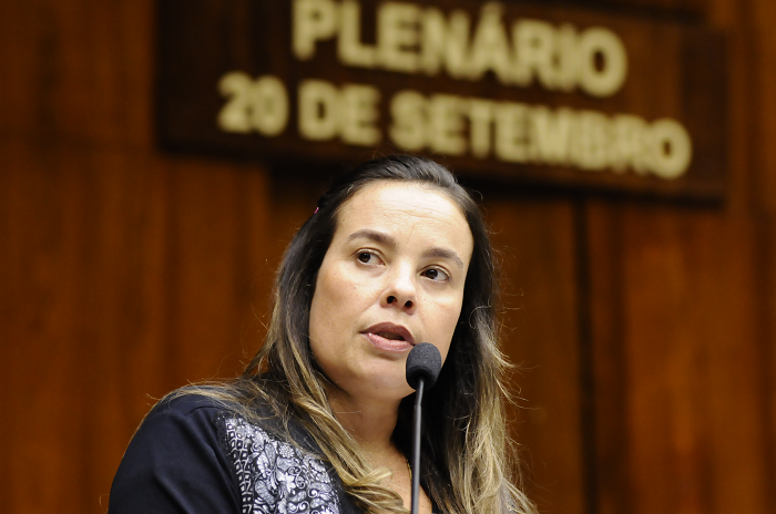 Deputada Juliana Brizola participará de encontro regional do PDT em São Sepé