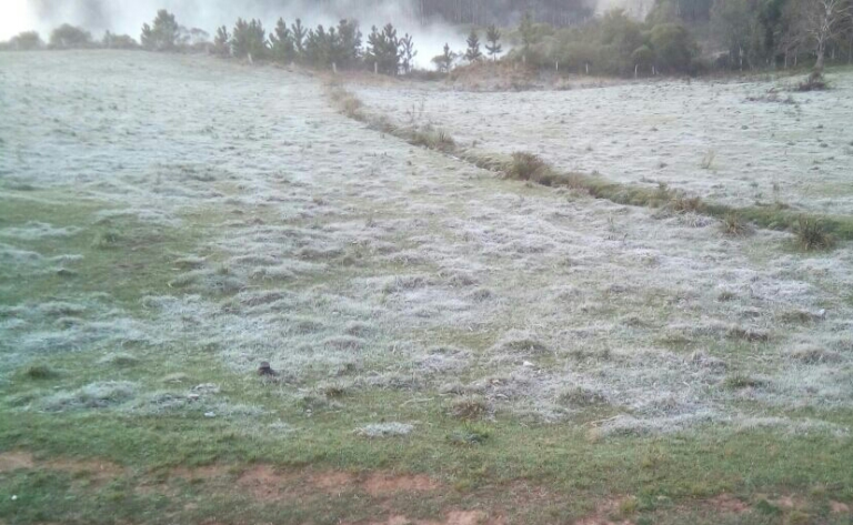 São Sepé amanhece com geada e temperatura mínima de 5ºC