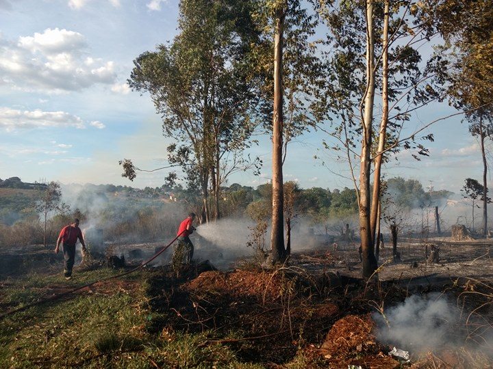 VÍDEO: em menos de três horas, bombeiros controlam dois incêndios em matos de eucalipto