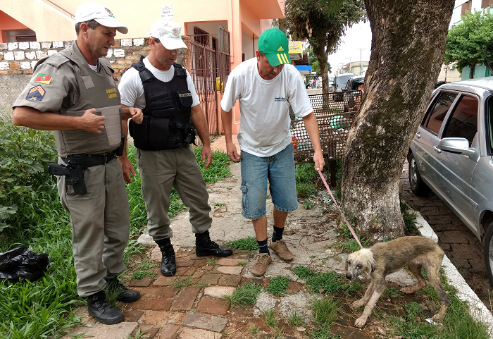 Policiais resgatam cadela que vivia em situação precária em São Sepé