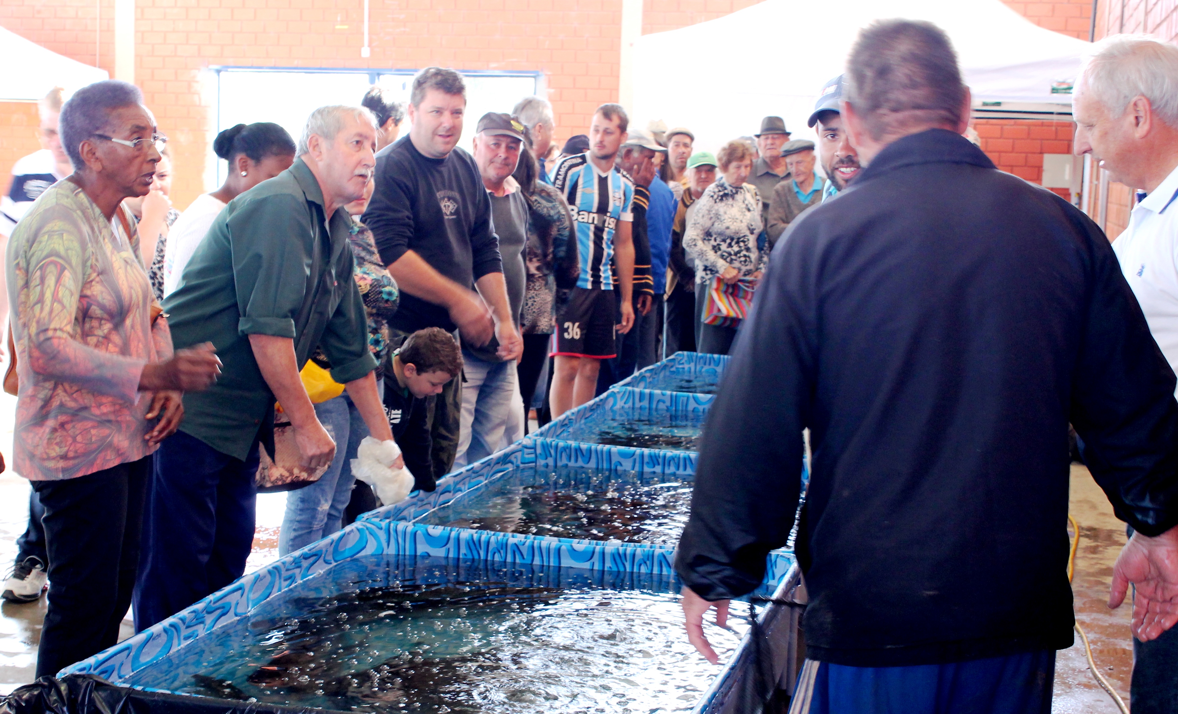 Ano passado, todos os peixes foram comercializados