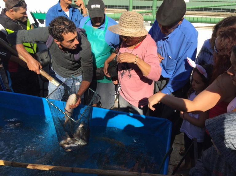 Feira de Páscoa pretende comercializar até 1200kg de peixe em São Sepé
