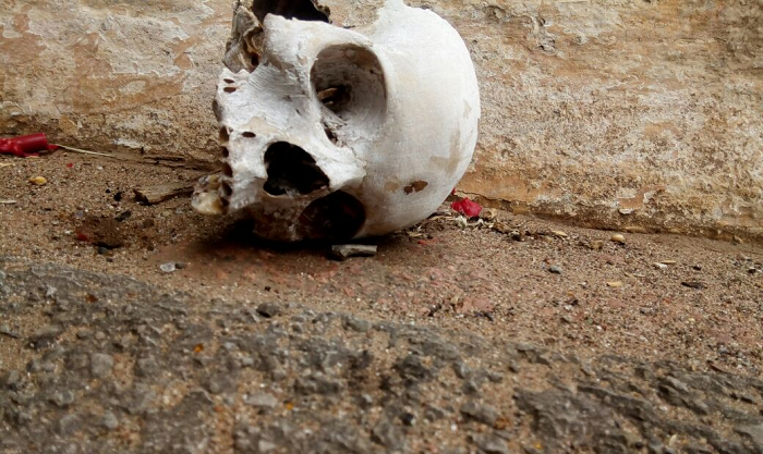 Crânio é encontrado no viaduto de acesso a São Sepé