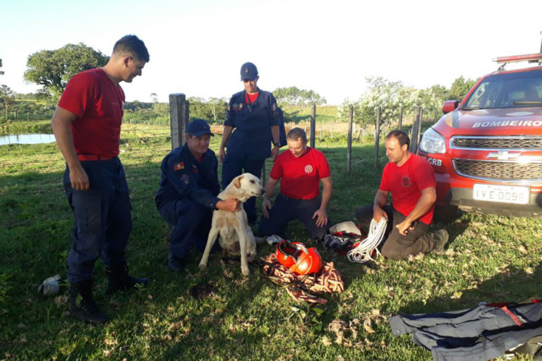 Resgate de cachorro preso em penhasco mobiliza Corpo de Bombeiros em Silveira Martins