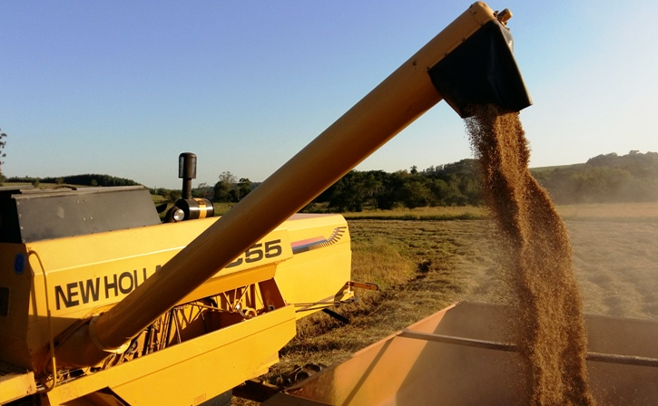 Produtores de São Sepé já colheram quase 42 mil toneladas de arroz