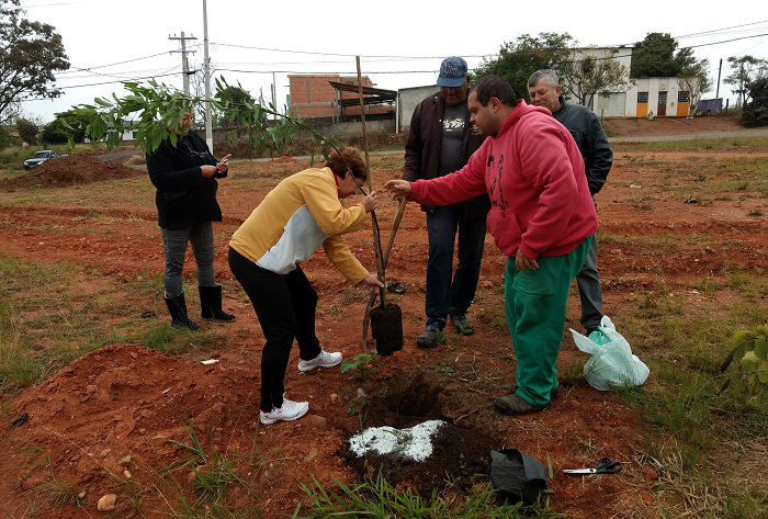São Sepé celebra Dia Mundial do Meio Ambiente com plantio de árvores