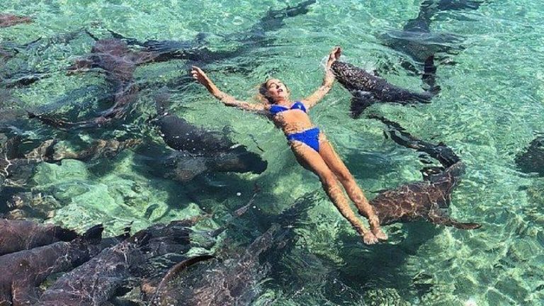 Modelo é atacada ao posar para foto com tubarões nas Bahamas