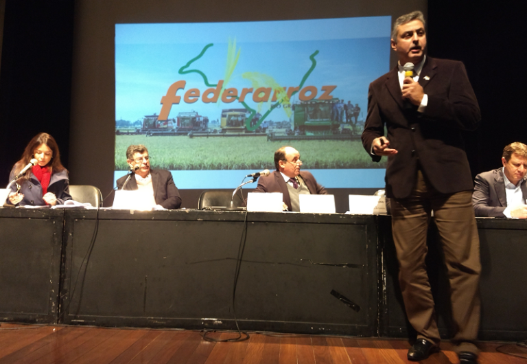 Arrozeiros cobram soluções para problemas históricos da lavoura gaúcha