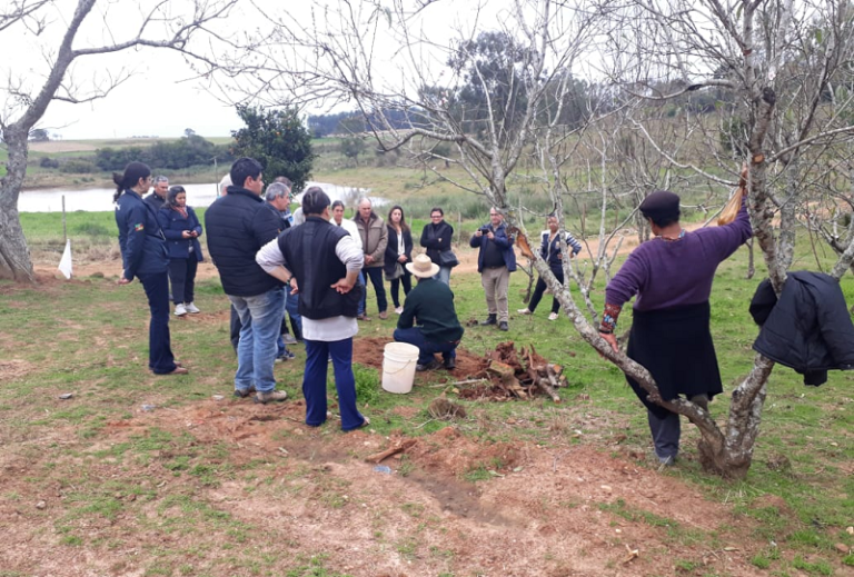Dia de Campo mobilizou moradores no interior de São Sepé