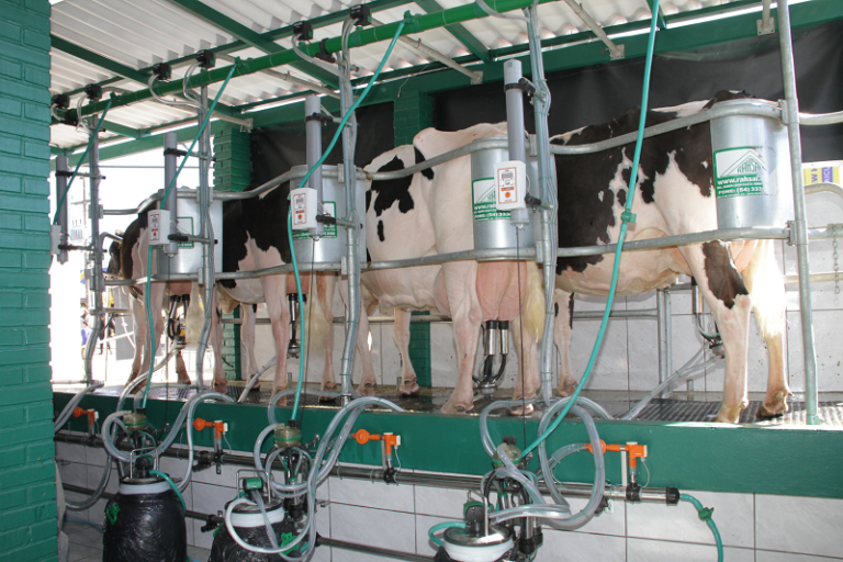 Produtores de leite pedem ações efetivas para alavancar mercados