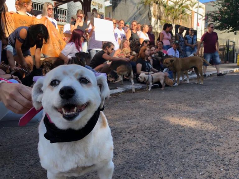 Manifestação protesta contra morte de cachorro em São Sepé