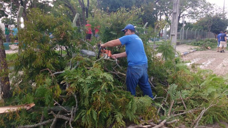 Mais de 100 casas tiveram danos após temporal em São Sepé