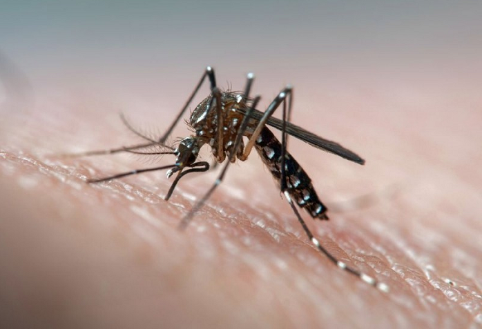 Região Central já tem dois casos confirmados de dengue