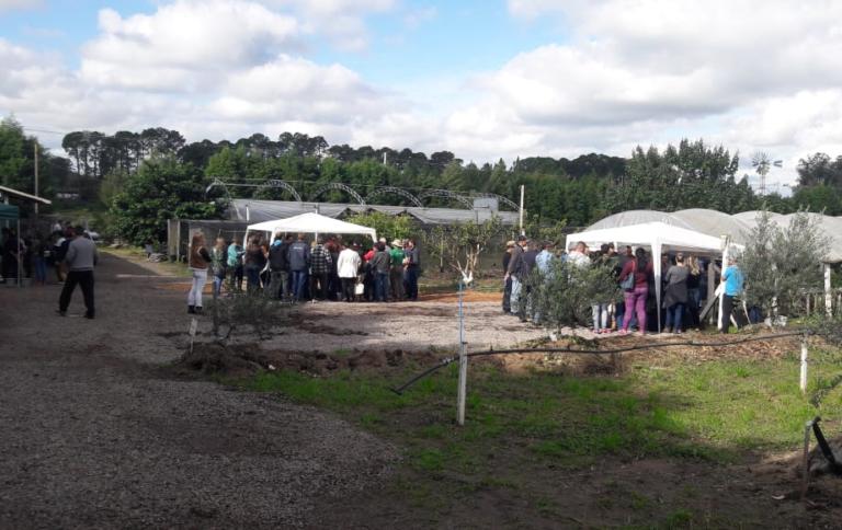 Representantes de São Sepé participam de capacitação sobre produção de morangos