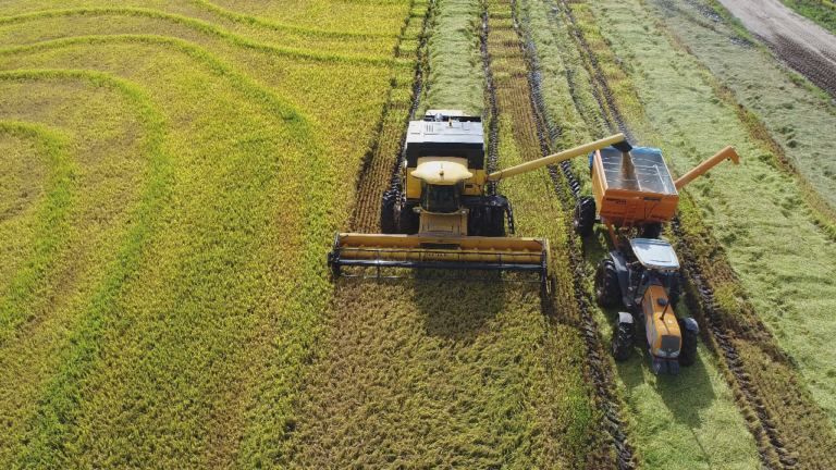 Produtores de São Sepé já colheram quase 104 mil toneladas de arroz