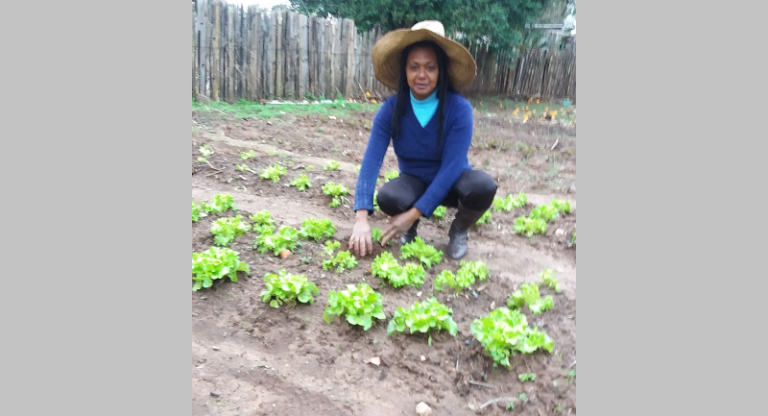 Emater de Formigueiro promove geração de renda e inclusão social com famílias quilombolas