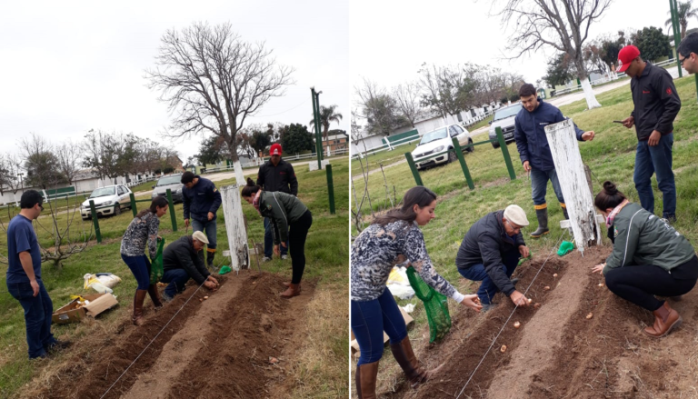 Projeto Flores para Todos chega a São Sepé