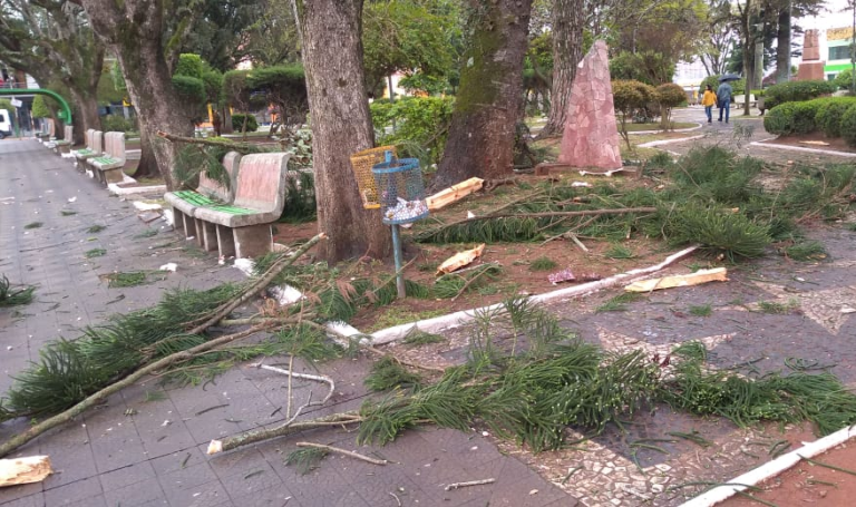 Raio atinge árvore na Praça das Mercês e danifica monumento