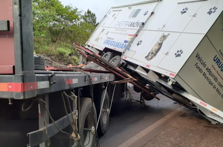 Motorista que transportava castramóvel morre em acidente em Entre-Ijuís