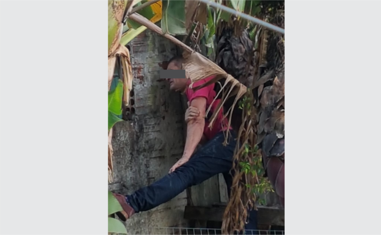 Homem suspeito de furto fica entalado em árvore, em Cachoeira do Sul