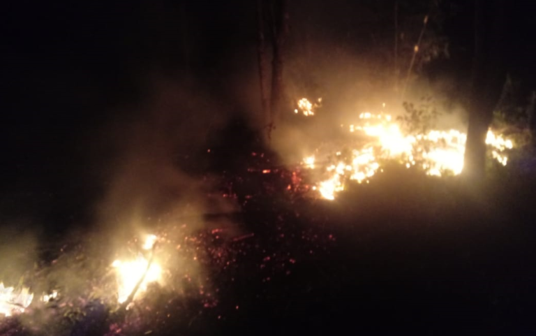 Bombeiros combatem dois princípios de incêndio em São Sepé