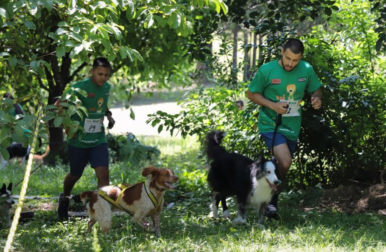 Santa Maria recebeu a “Vai Totó”, evento beneficente inédito